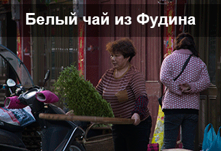 Белый чай из Фудина|Статьи о чае