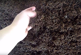 Картинка Китайский чай пуэр - это