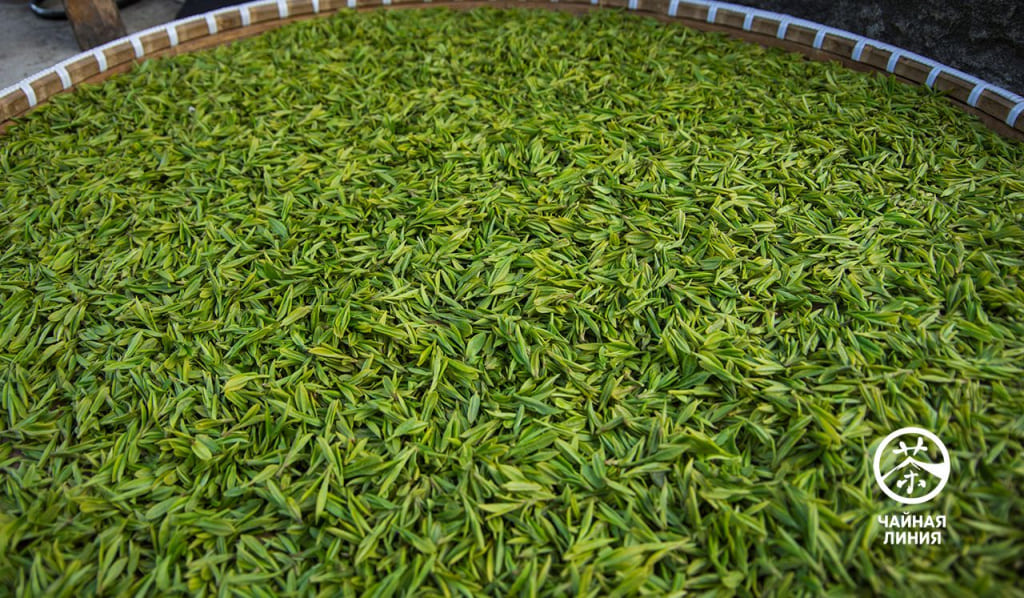 Китайский зеленый чай