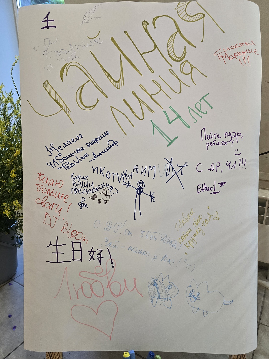 Памятная вечеринка в честь дня рождения Чайной Линии